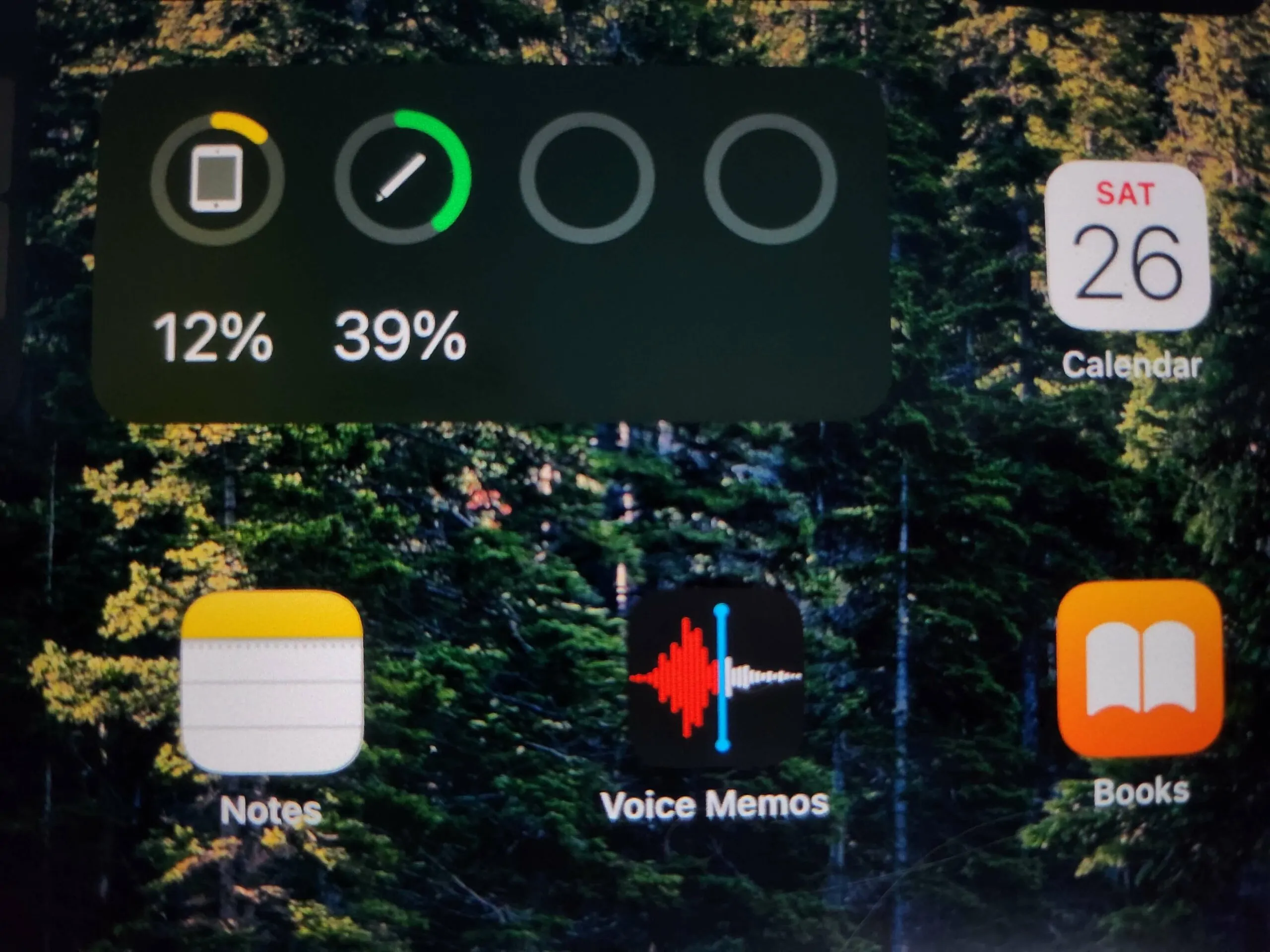 Homescreen widget to help you know if your Apple Pencil is fully charged